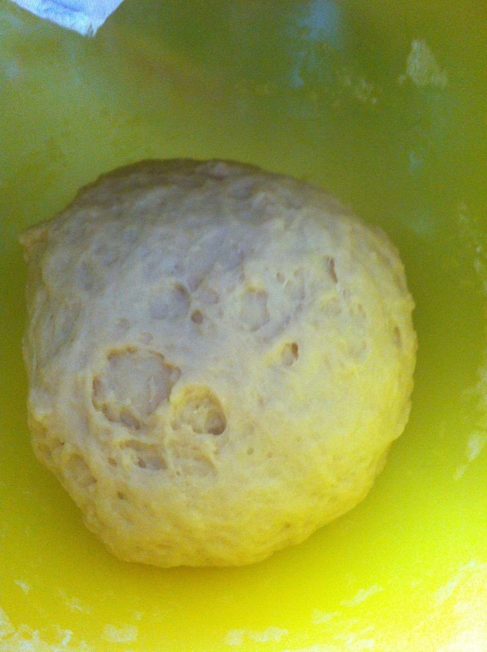 Once it has reached 2 times its previous size, you have to knead it a second time, then wait another 2 hours