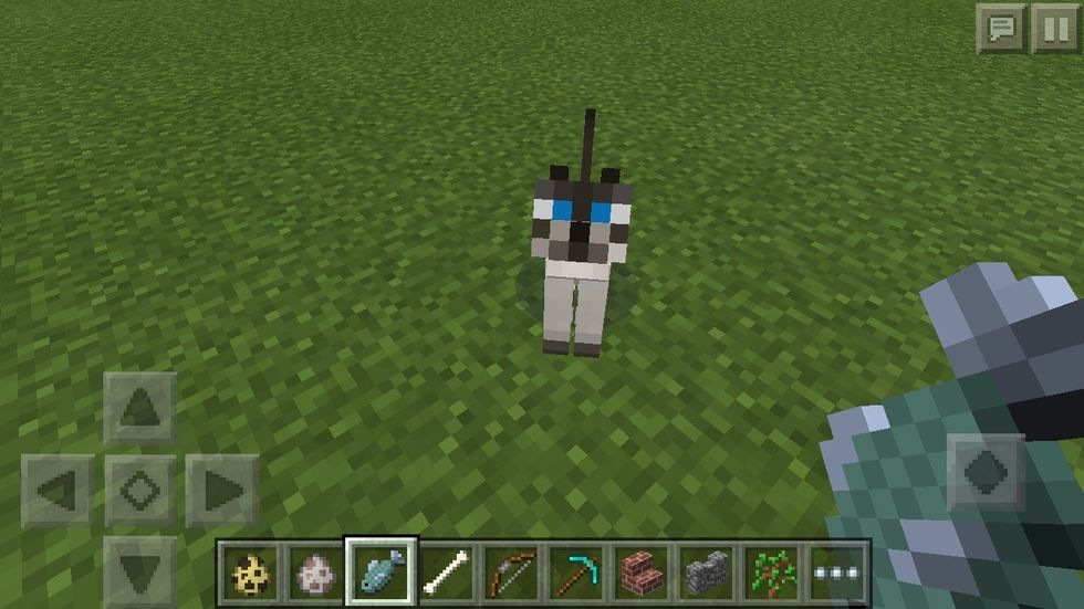 Once tamed, your ocelot will turn into a cute kitty! They can be Siamese, tabby, or black. Although they will run from almost all mobs, they'll scare off creepers for you!
