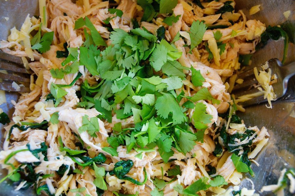 Once the chicken has cooled, add 1 cup of shredded cheddar, a handful of roughly chopped cilantro, and the rest of the lime sauce to the chicken.  Mix well.