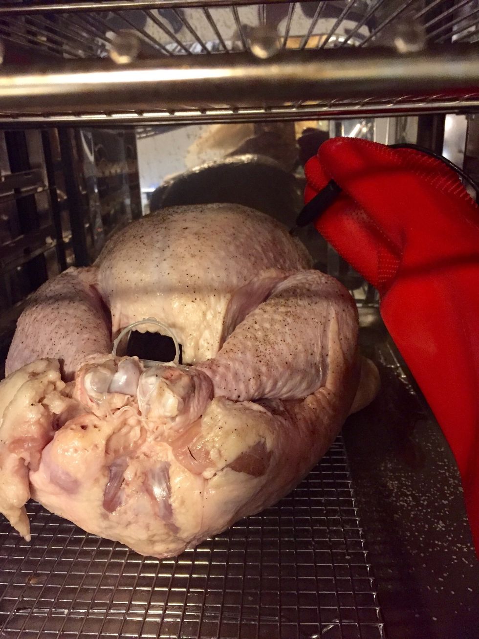 Once the CTP is preheated after step 1, load turkey into the oven placing the probe into the turkey breast.