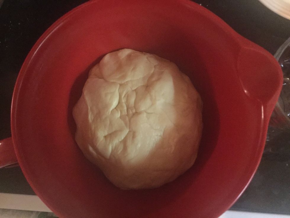 Once the dough is in a ball, coat a bowl in canola oil and place the dough inside. Roll it around in the bowl to coat the sides.