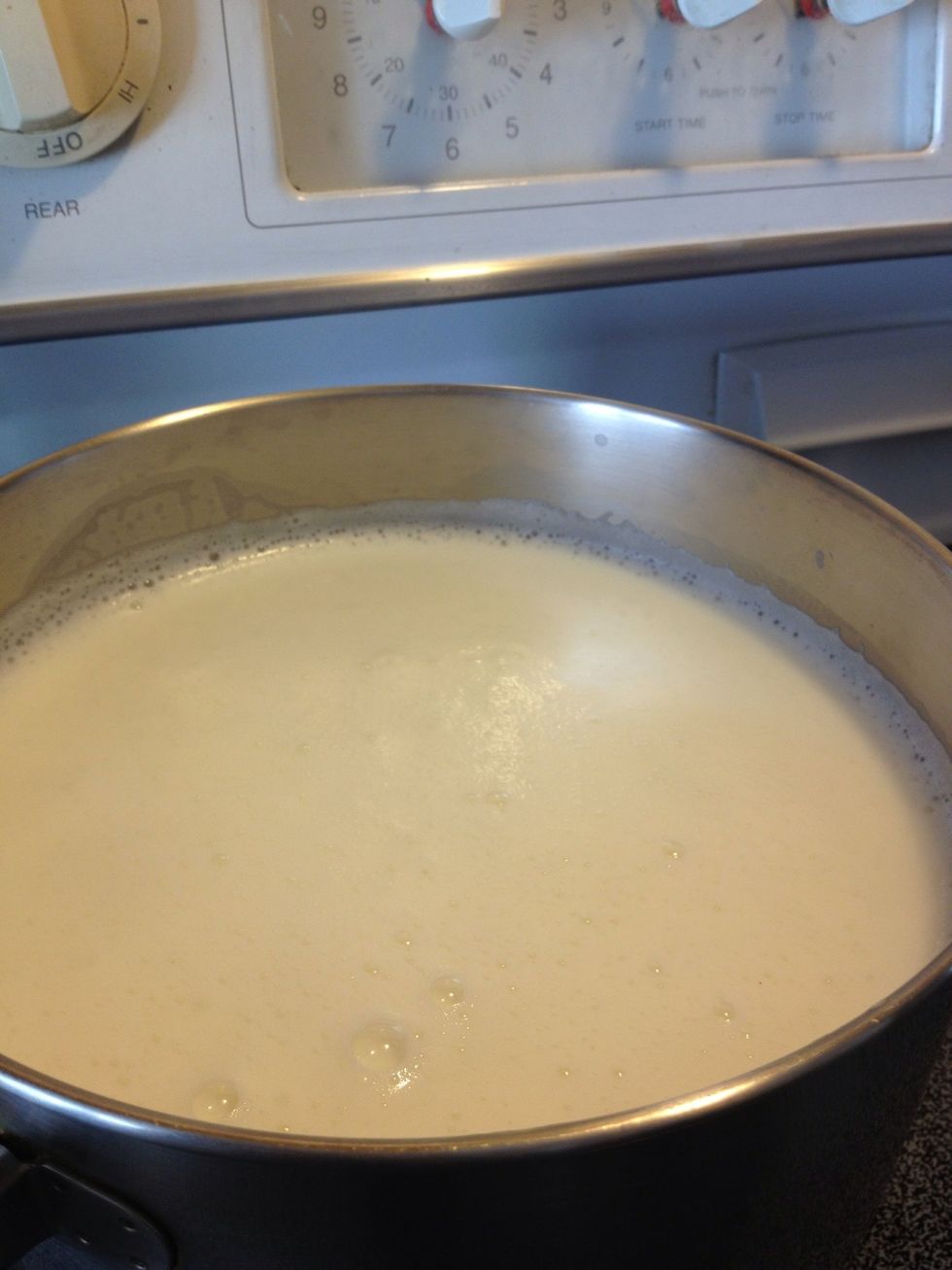 Once the milk froths on the surface...