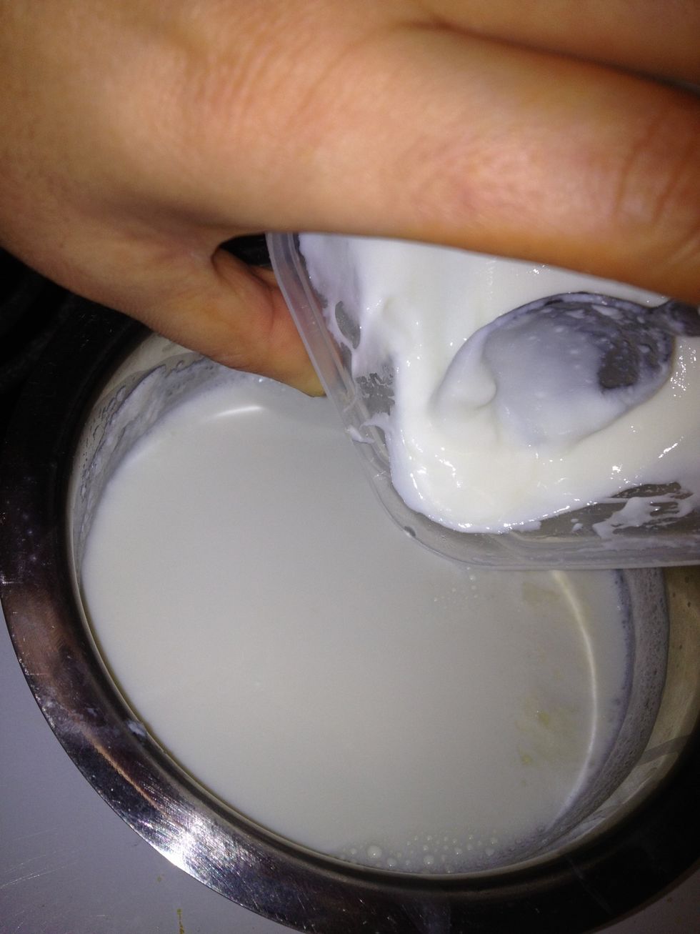 Once the milk is nice and warm pour it in the container in which you are going to store the yogurt now add the yogurt and give it a stir. You want the cultures to mix well in the milk.