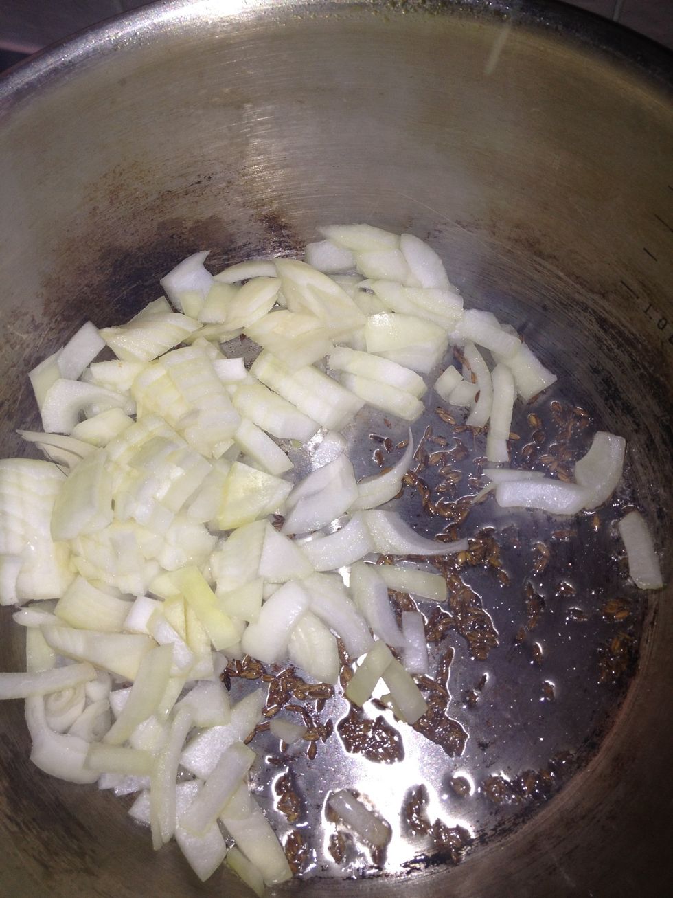 Once the seeds are sizzling, add your onions. Cook, soften, brown. Lower the heat to avoid burning.