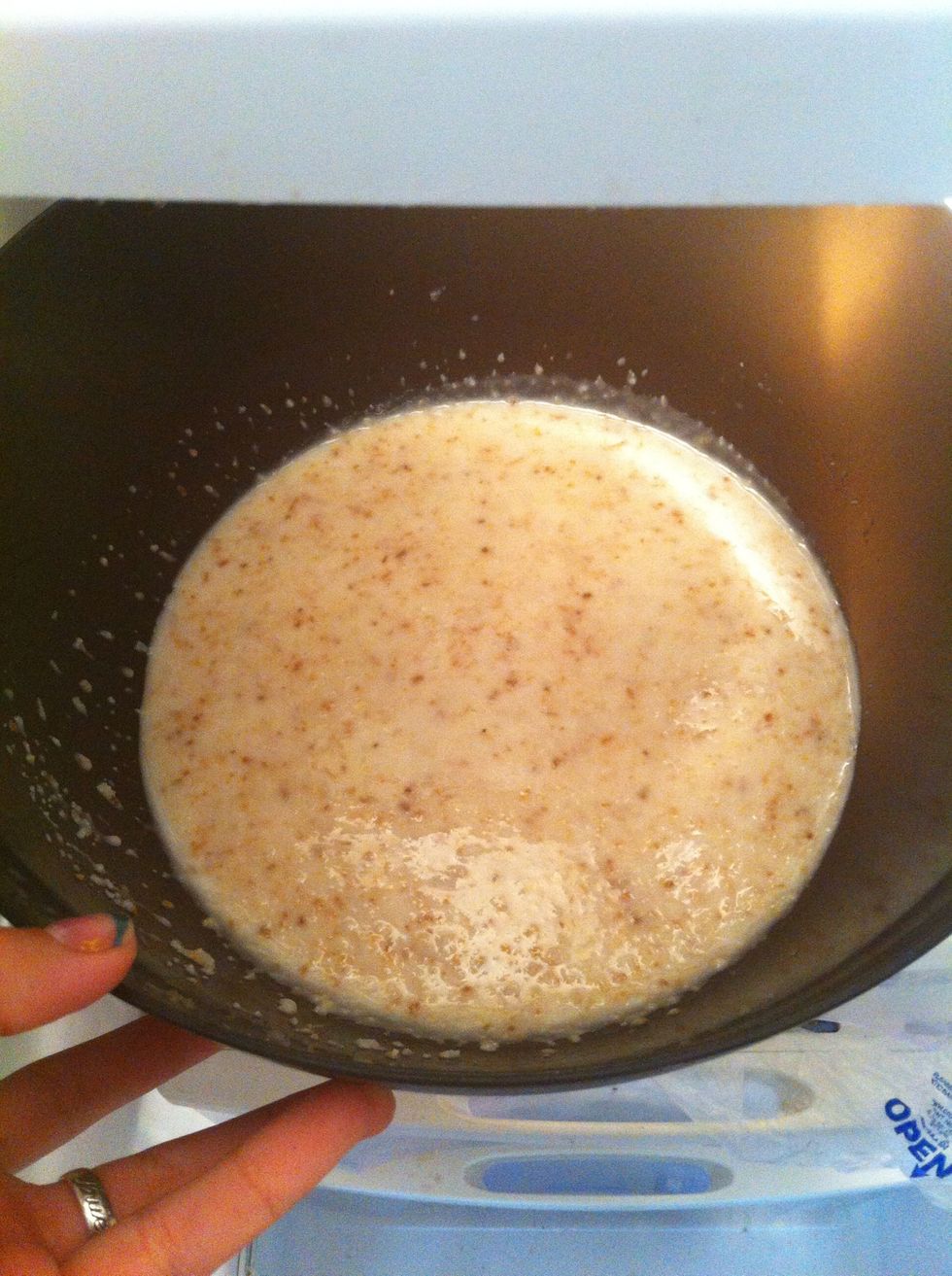 Once the shreds are toasted, just mix all the ingredients together in a bowl! And MIX LIKE YOUR LIFE DEPENDS ON IT. Refrigerate until it has a porridge like consistency