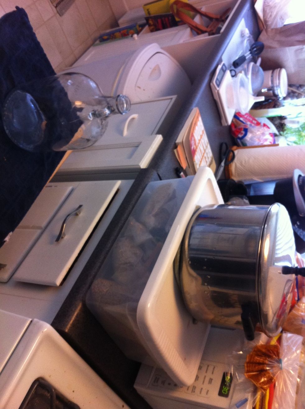 Once the wort reaches 70 degrees, prepare a setup that allows you to siphon from the pot to the one gallon jug. Use a funnel and a strainer when transferring the wort.