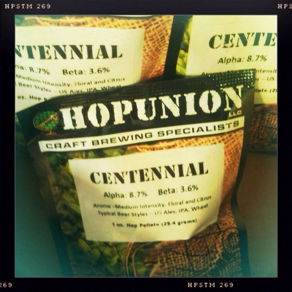 Once the wort returns to boiling, it's my favorite time...hops time! This recipe has calls for 4 oz to be added during brewing and another oz to be added later, during dry hopping.