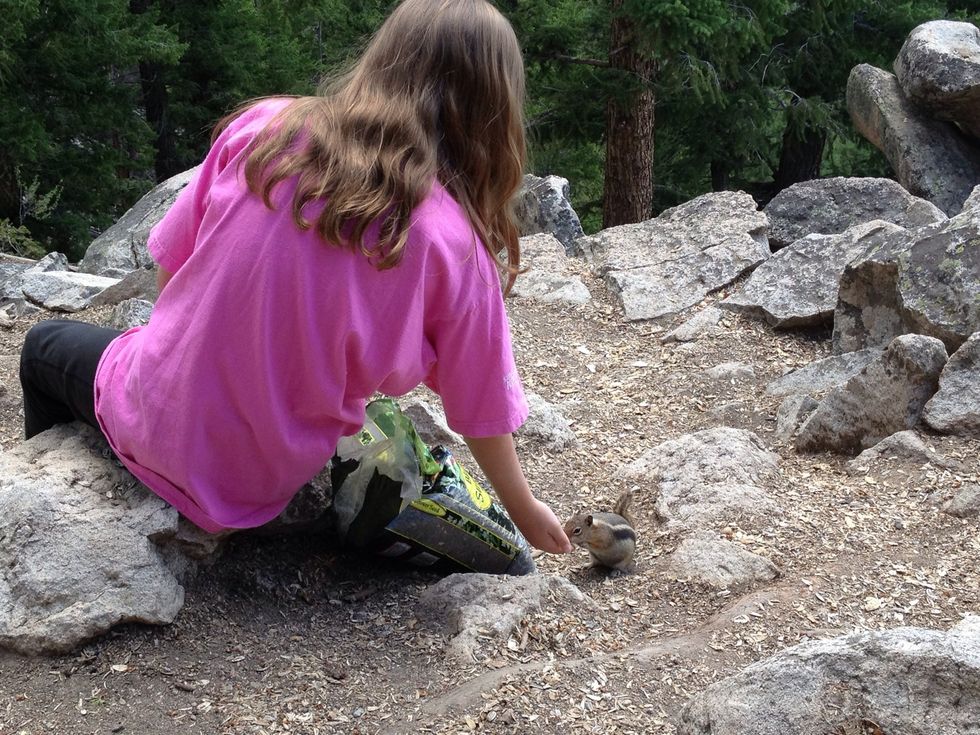 Once they come, don't yell to someone that they came. They'll see after a while. Don't move your hand, or make sudden movements. It scares them and they will run away.