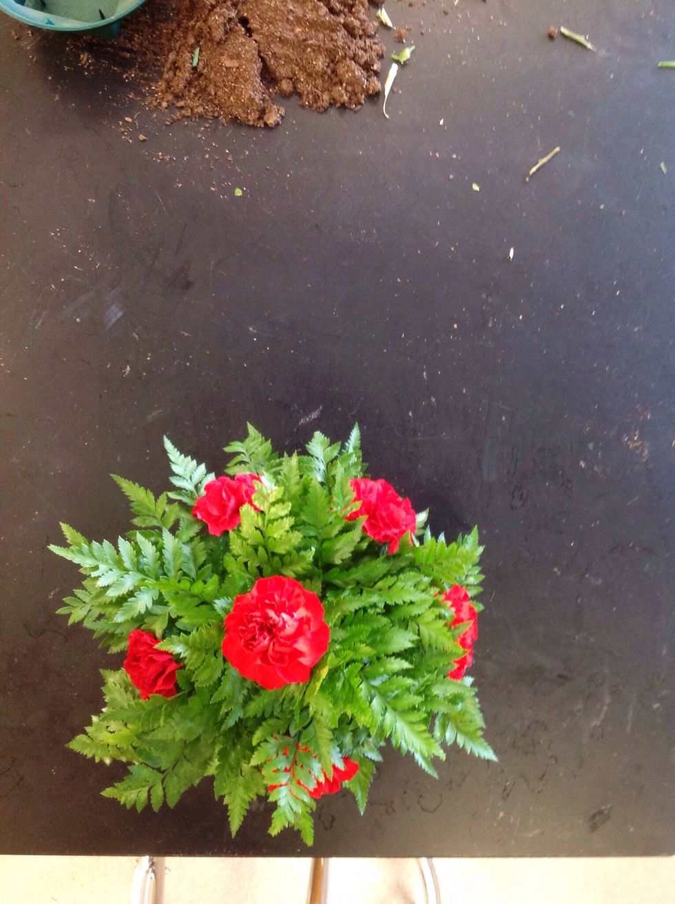 Once you Are done greening you must choose six flowers and put 5 of them on the sides so that they are evenly spread out and then put 1 at the top which should be the highest point of the arrangement.