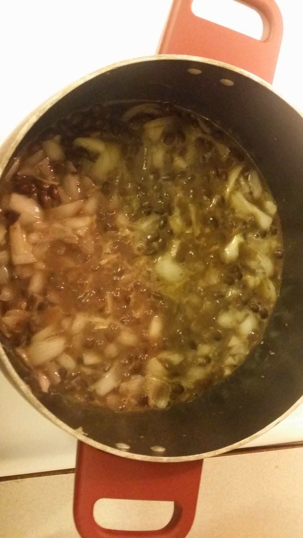 once you cook beans and onions for 5 min,