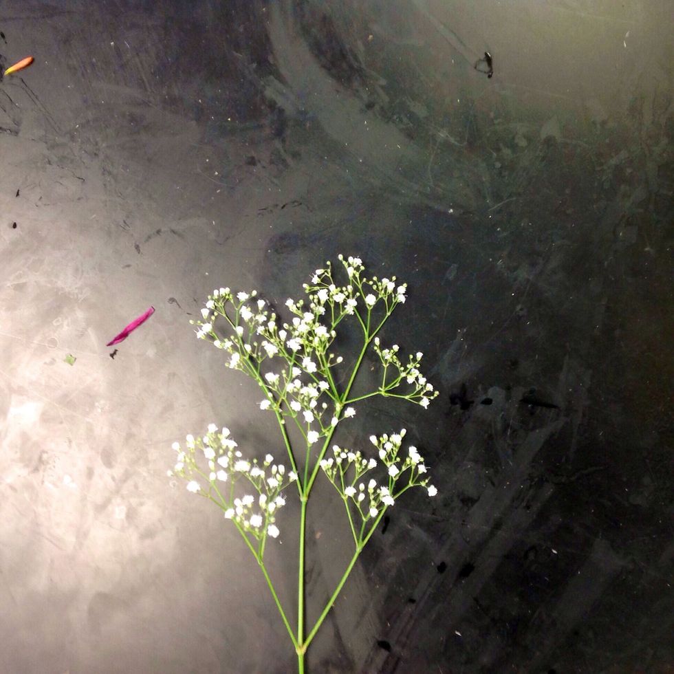 Once you have added all of the flowers, you add gyp. Gyp is added to the bud vase as a filler, it fills in all of the empty spots. Also, make sure that all of the stems are touching the water.