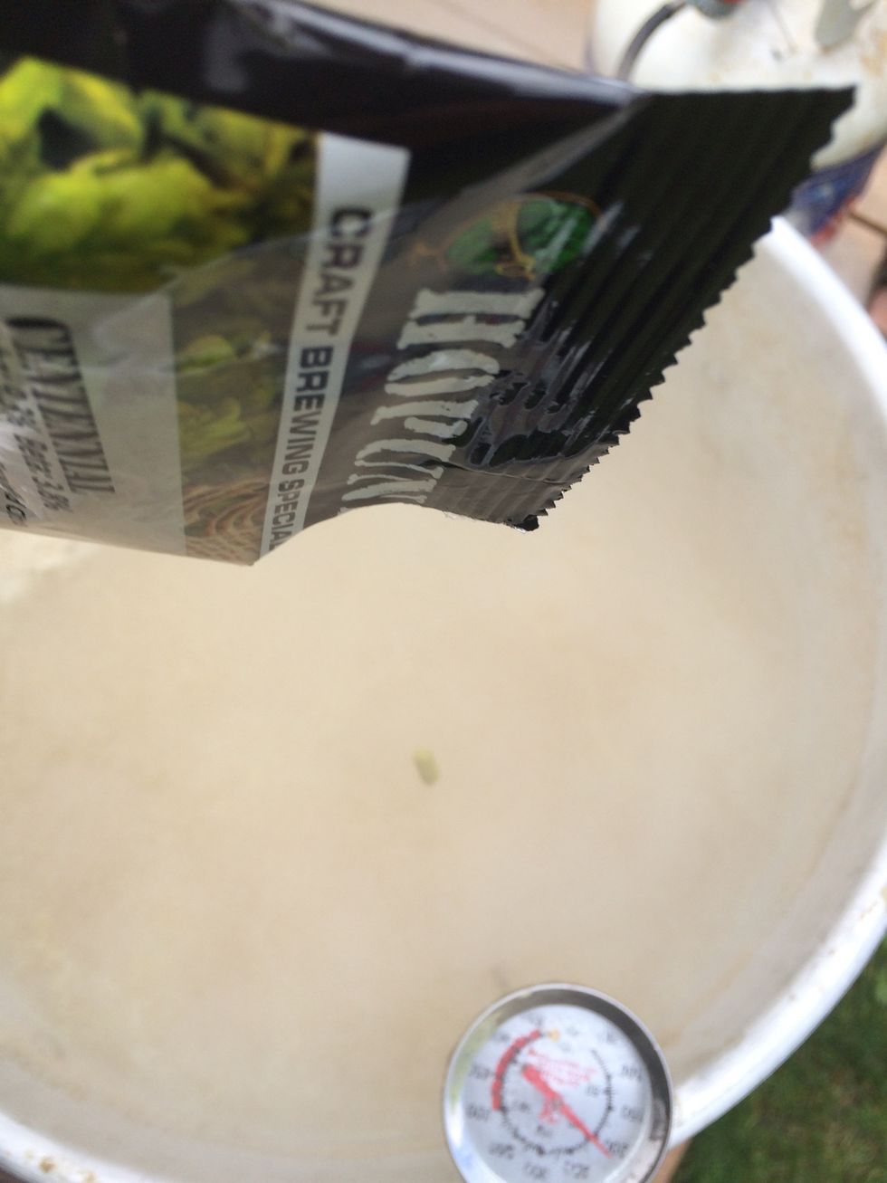 Once you past the hot break and started your 60 minute timer, immediately add your 1oz of hallertauer hops.