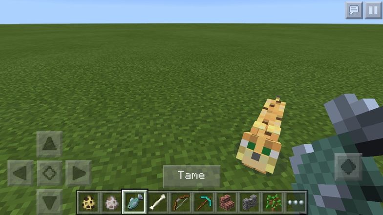How To Tame Ocelots Wolves On Minecraft Pe B C Guides