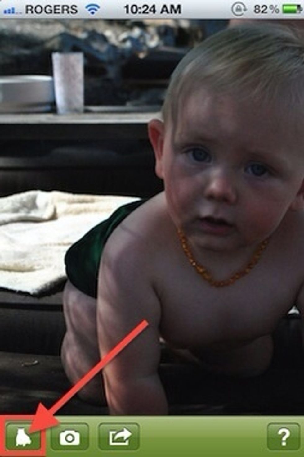 Once your background photos is chosen the fun begins. Tap the cats icon (lower left button) to select a cat to overlay on your photo.