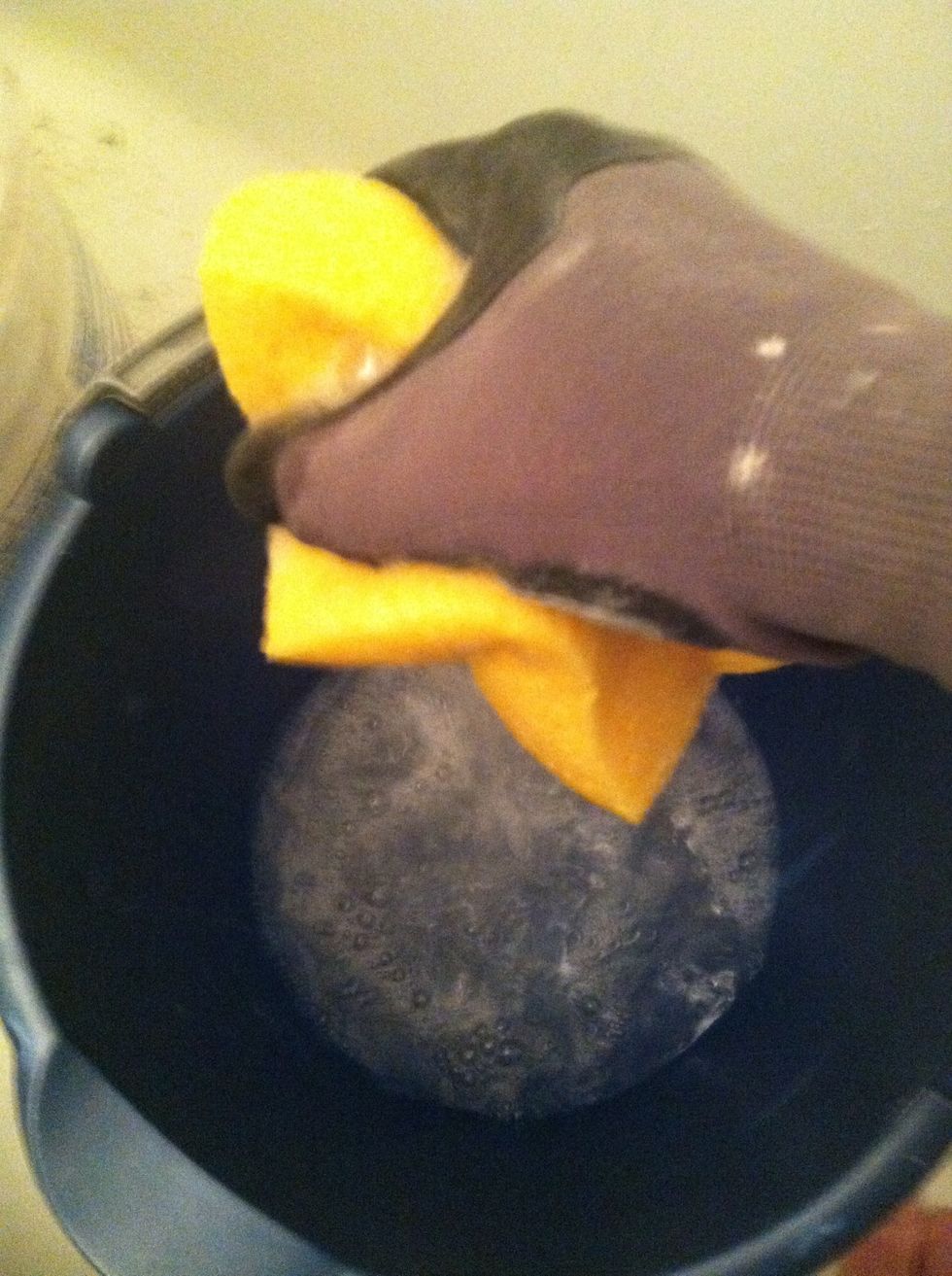 Once your done get a bucket of water and a sponge. Wring sponge VERY dry.
