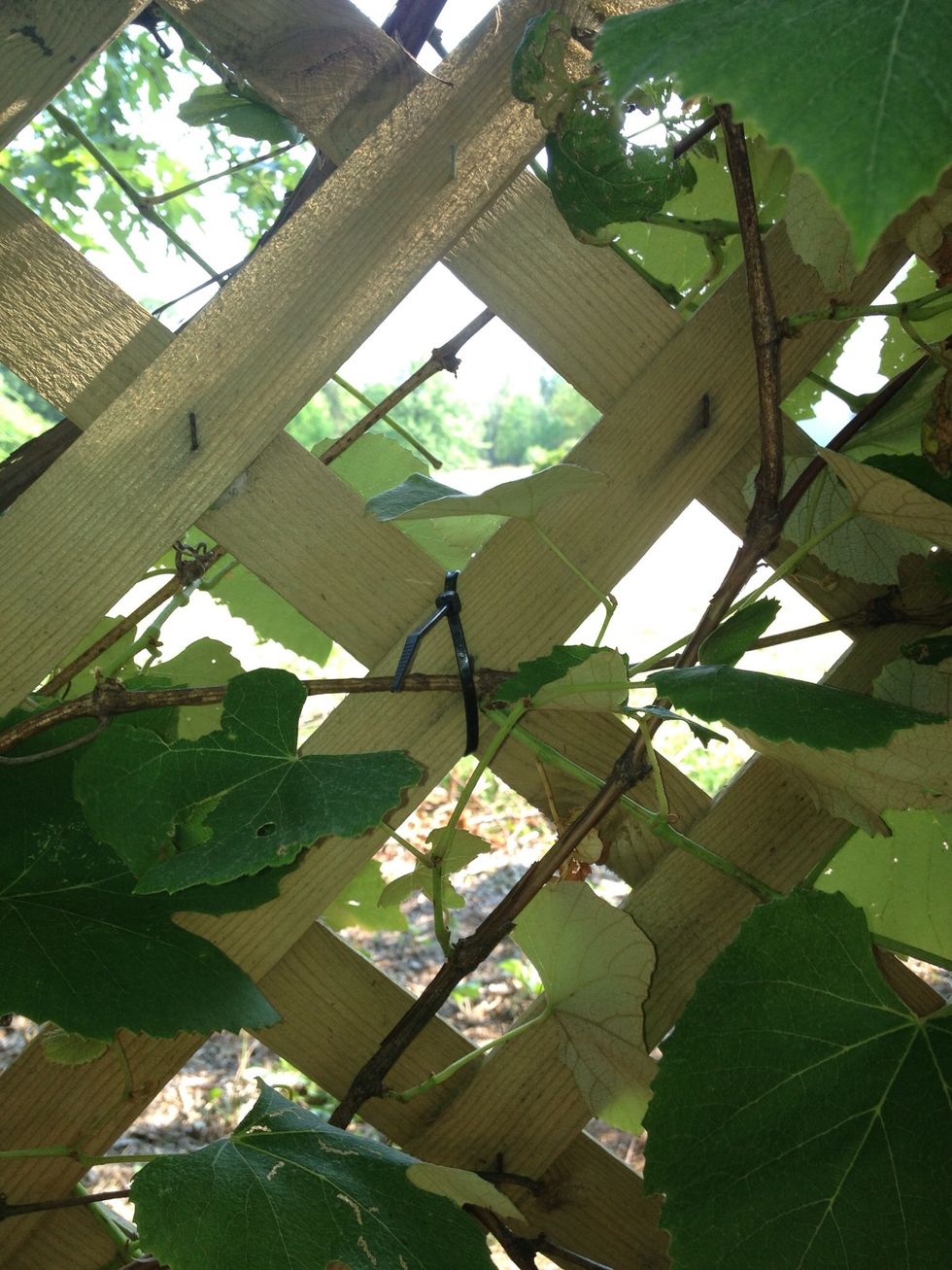 How to install a fence super fast with minimal effort B+C Guides