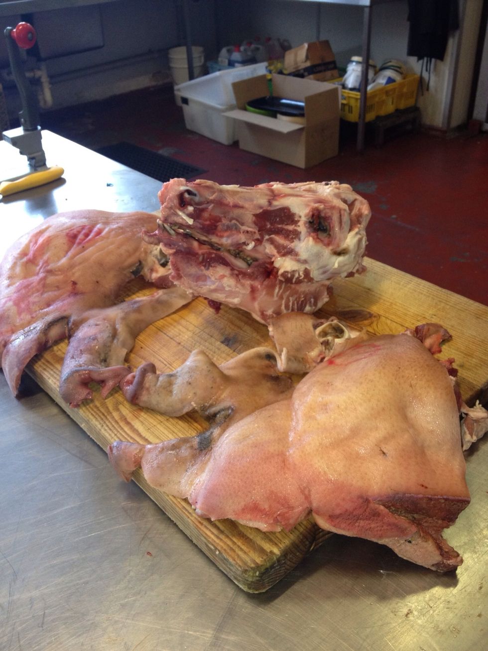 One boned out pig,s head!
