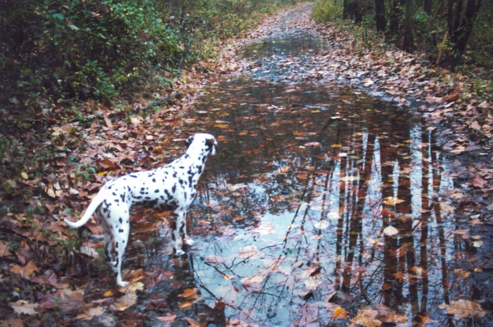 One day we drove farther and walked in the autumn leaves.