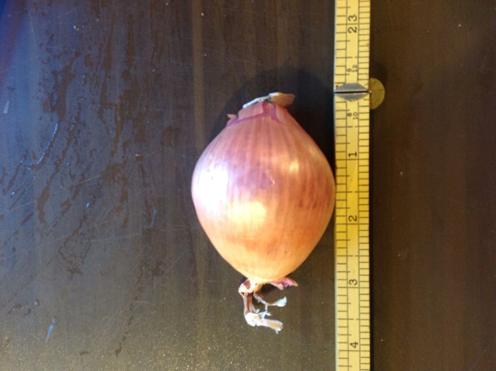 One large shallot
