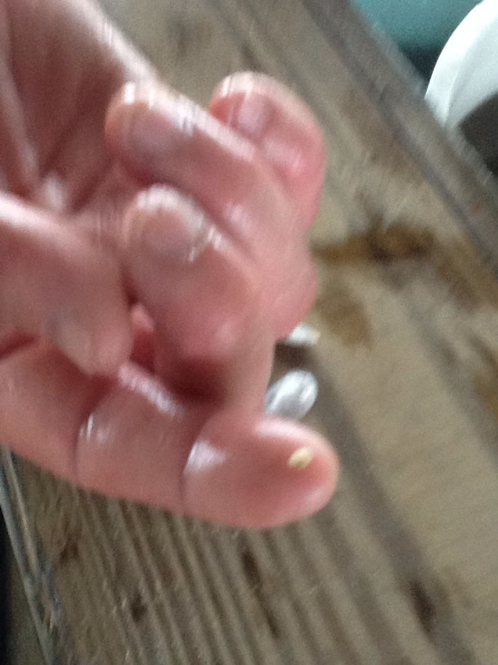 One little baby!