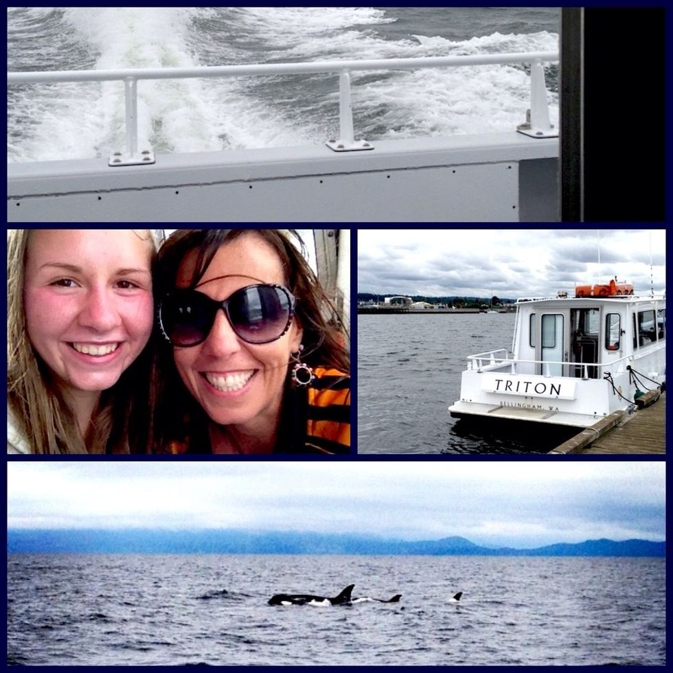 One thing you have to do in Seattle is go on a whale watching tour. We went on a tour out of Blaine, close to the Canadian border. It was incredible.