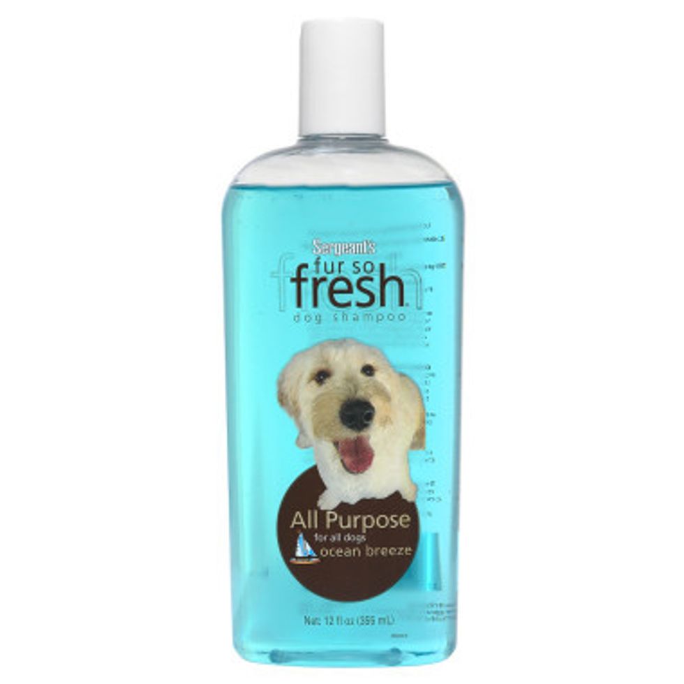 one type of dog soap to wash your dog with