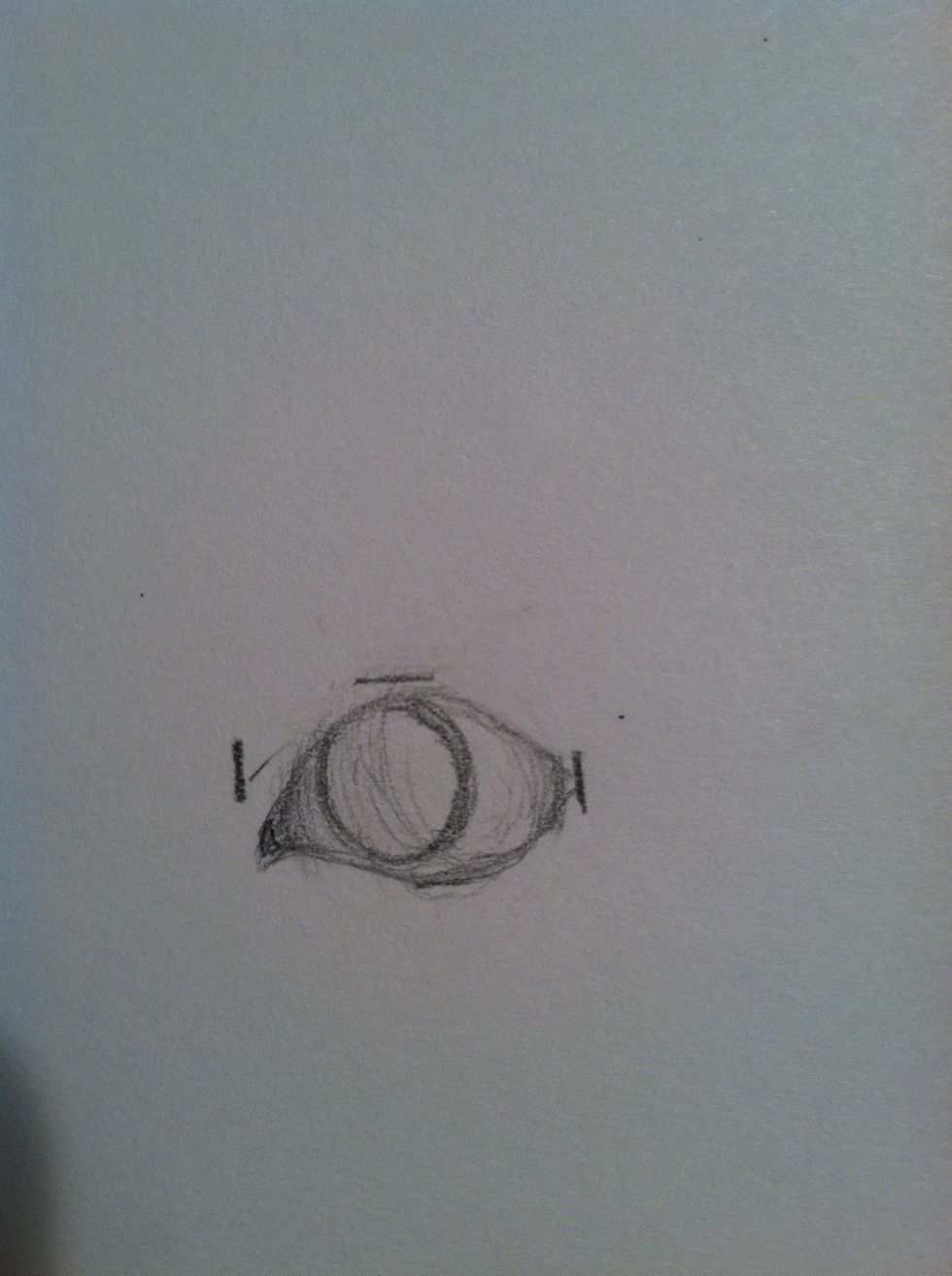 Onto the iris. The iris is perfectly round, but isn't necessarily perfectly centered. Again, study your subject. The iris placement within the eye is apt to change.