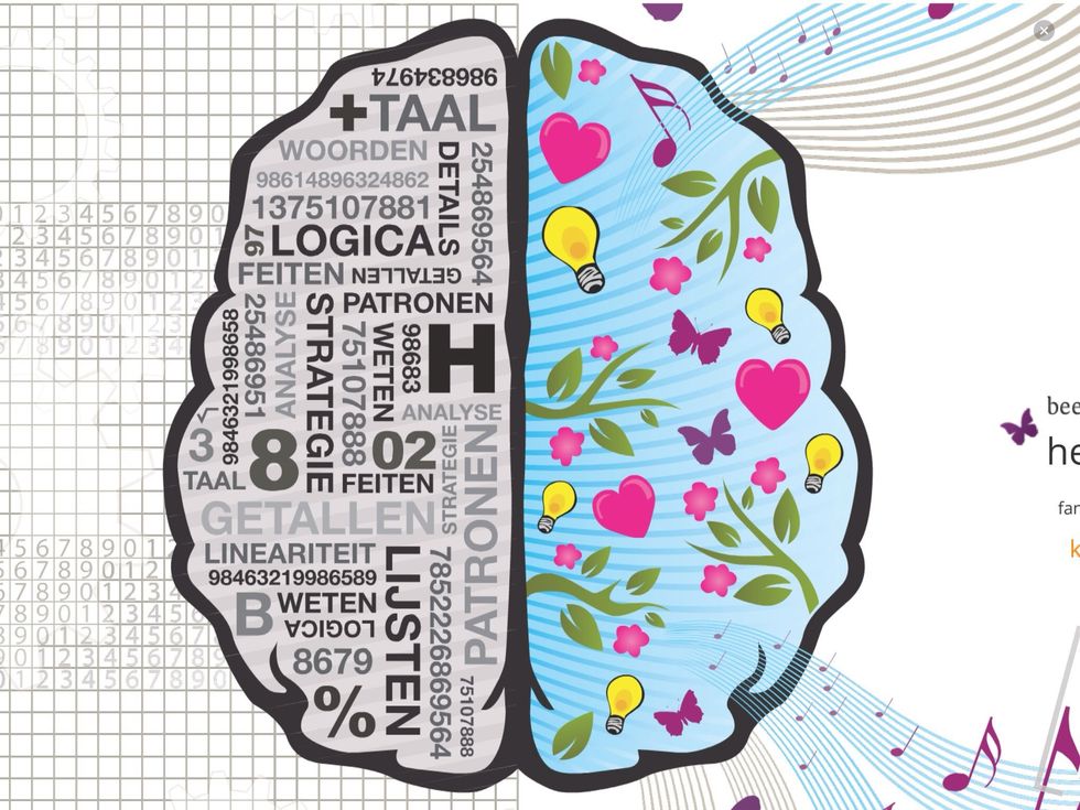 Onze linkerhelft is het rationele deel, de rechterhelft het creatieve deel.