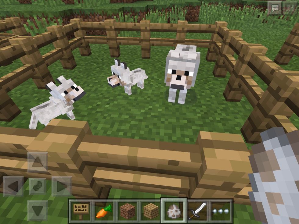 Oooo, a pack of Wolves!