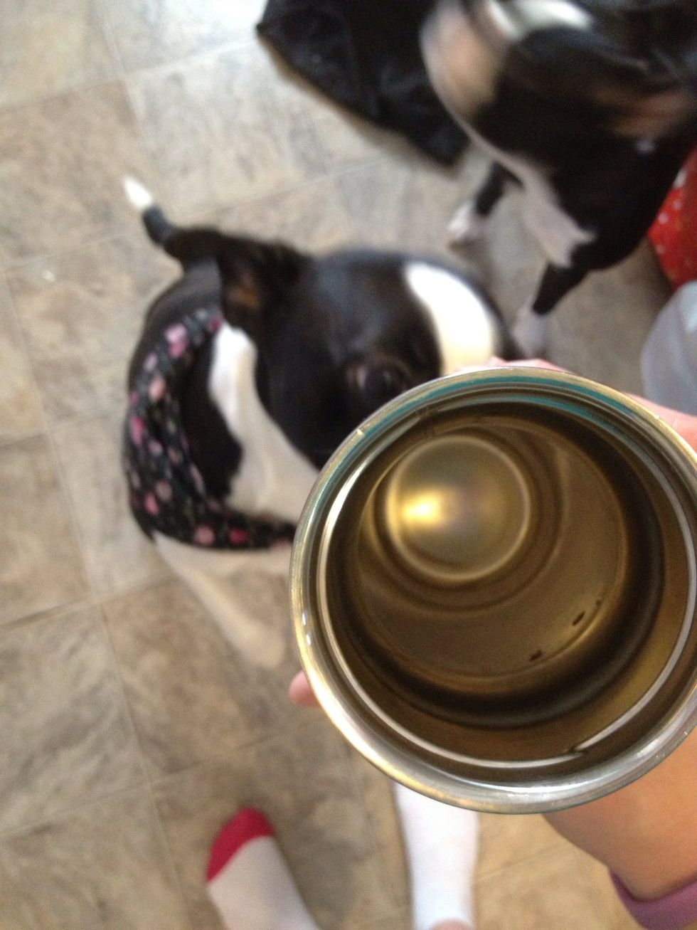 Ooooo super clean, no odors, no stains clean like brand new! I had some snoops while I was trying to get good lighting for my mug.