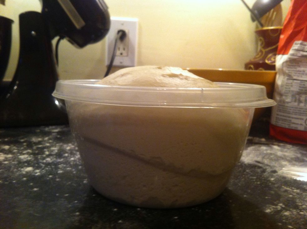 Oops I didn't use a big enough container. Oh well. After 2 hours your dough should have risen by about half or so. Looks like this rose a bit more though.