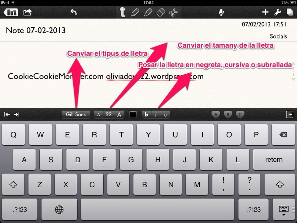 Opcions d'escriptura