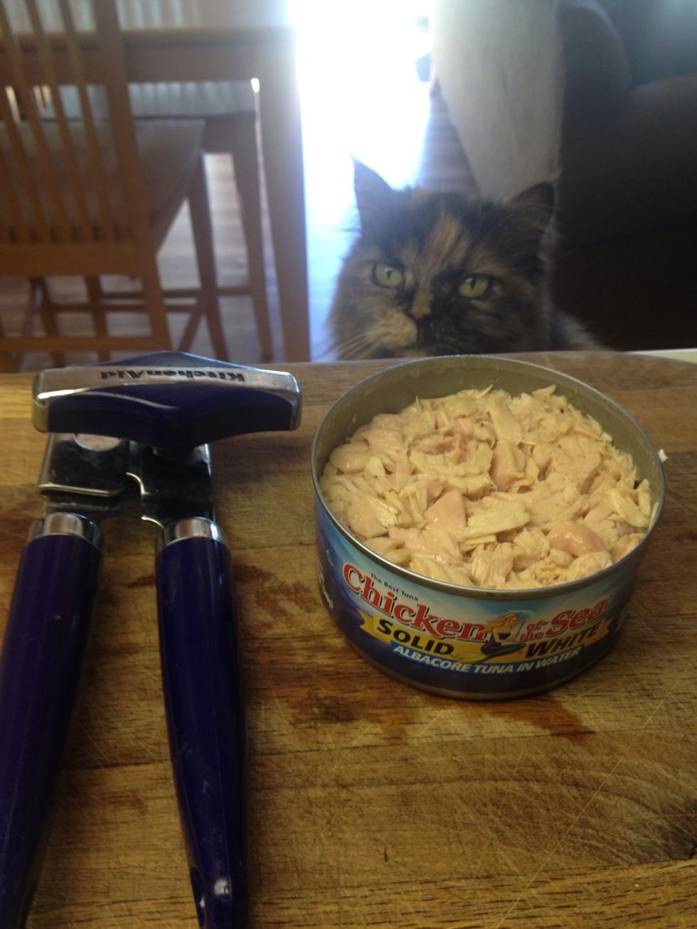 Open 12 oz can of albacore tuna, drain