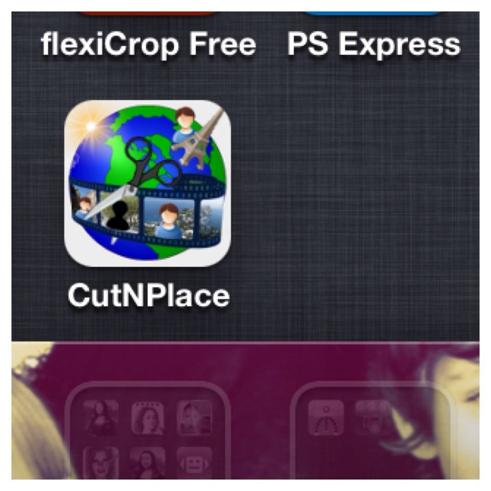 Open CutNPlace.