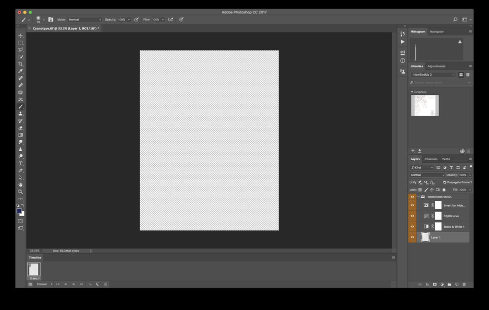 Open digital negative template from the Photoserver or Google Drive.