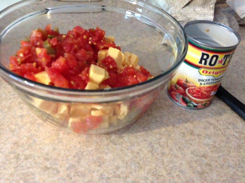 Open rotel can and pour it in