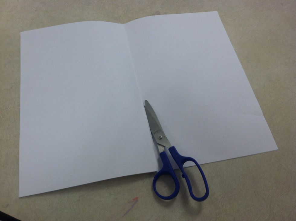 Open sheets and cut in half on the fold.