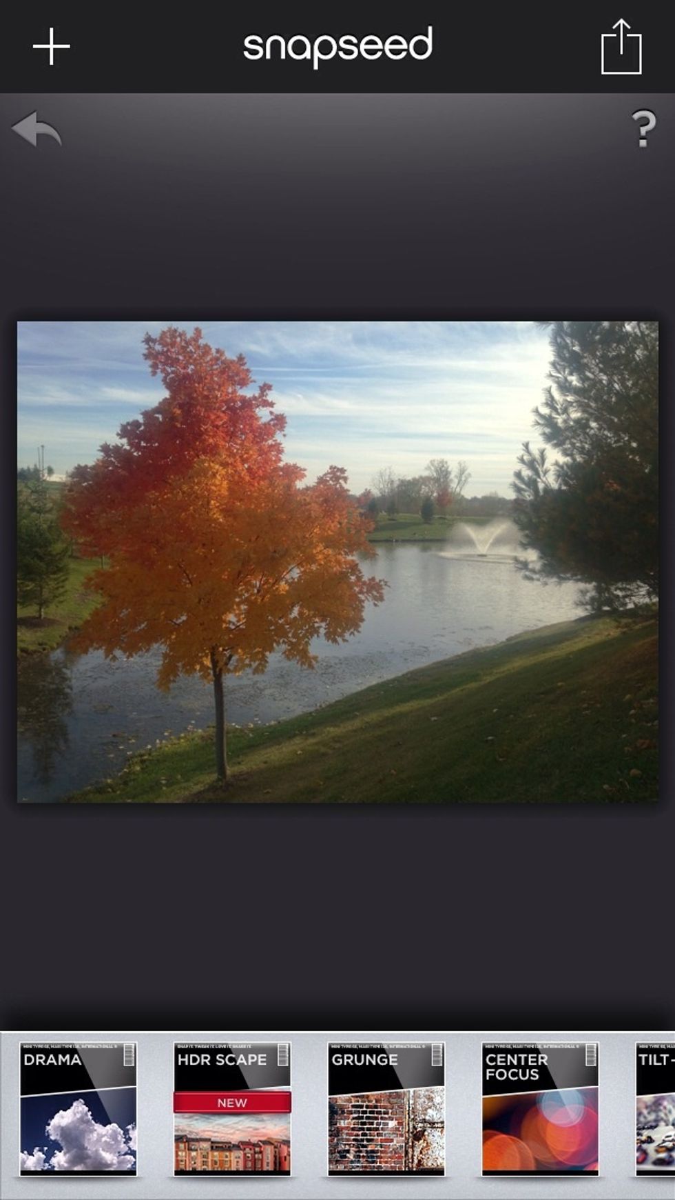 Open the app and choose the image you would like to edit.