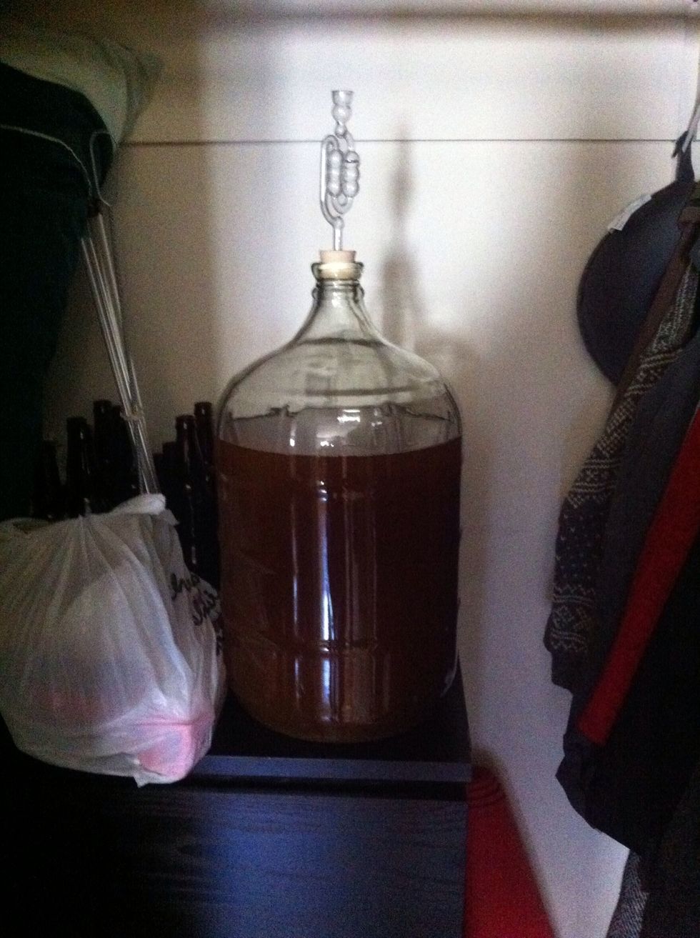 open the grave once more and put your carboy into a dark spot. let it sit there for 20 days. go to my profile to see my other guides on how to cook and bottle your beer