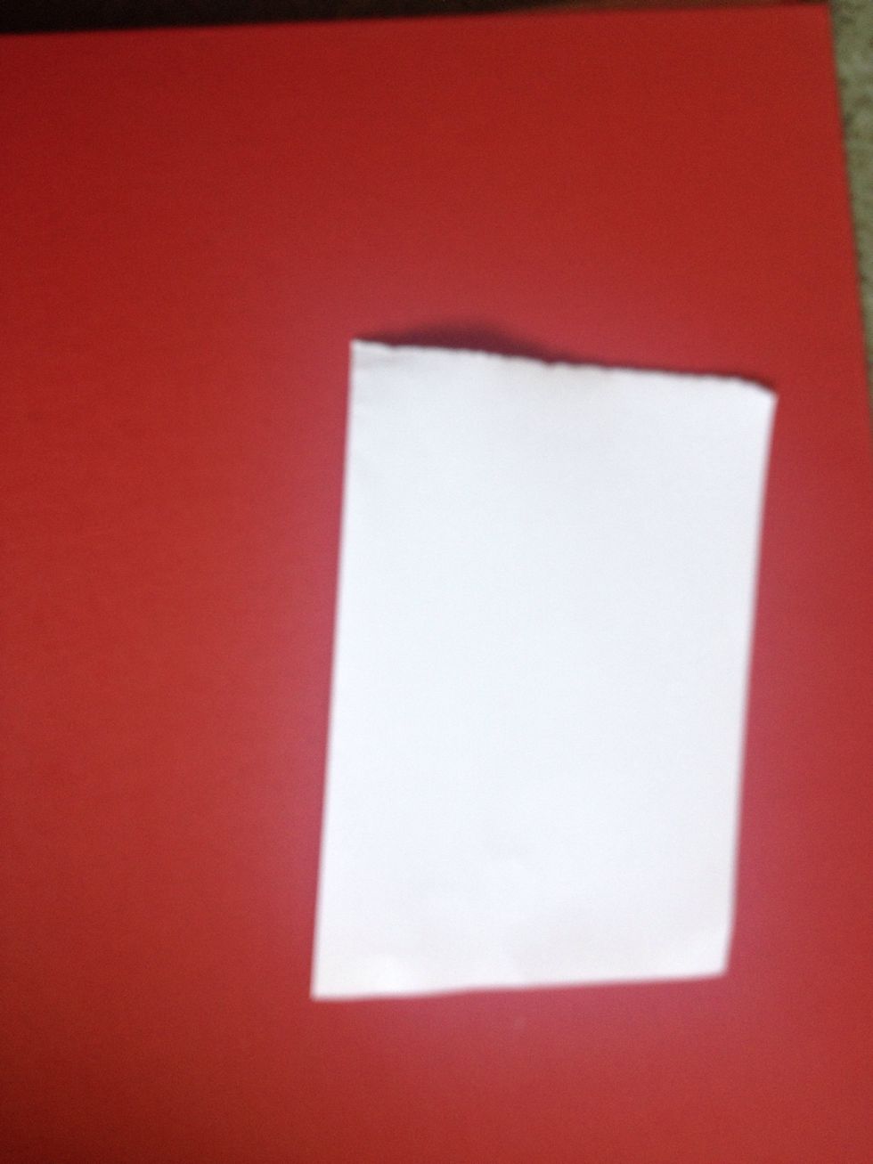 Open up your paper that you have folded in half and cut it in half