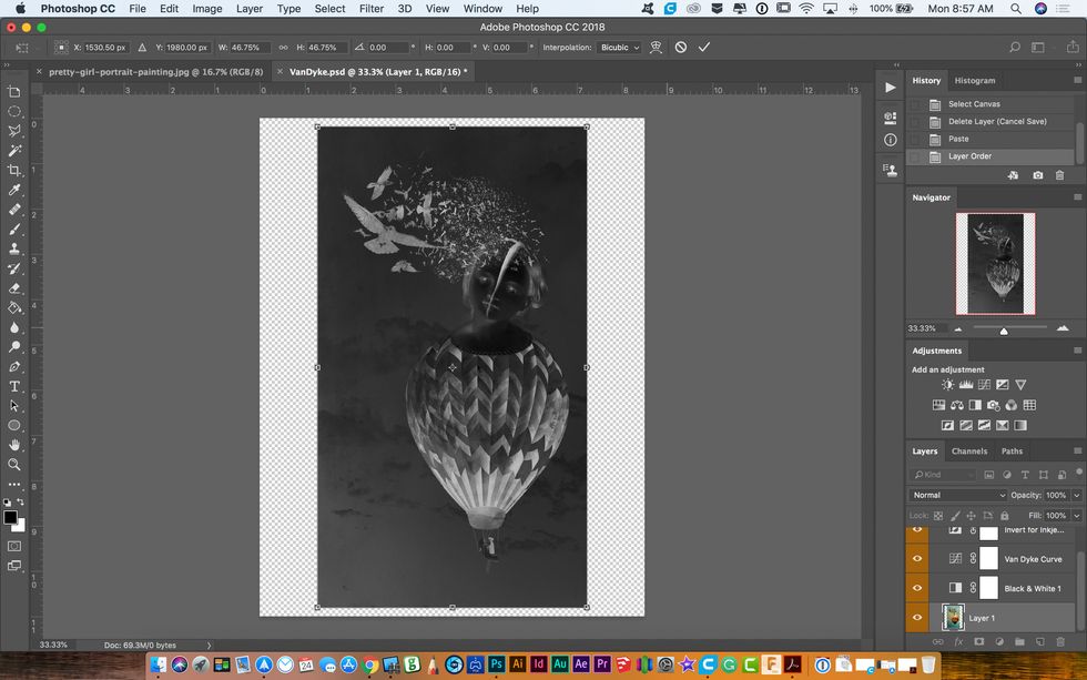 Open your image that you saved as a negative.