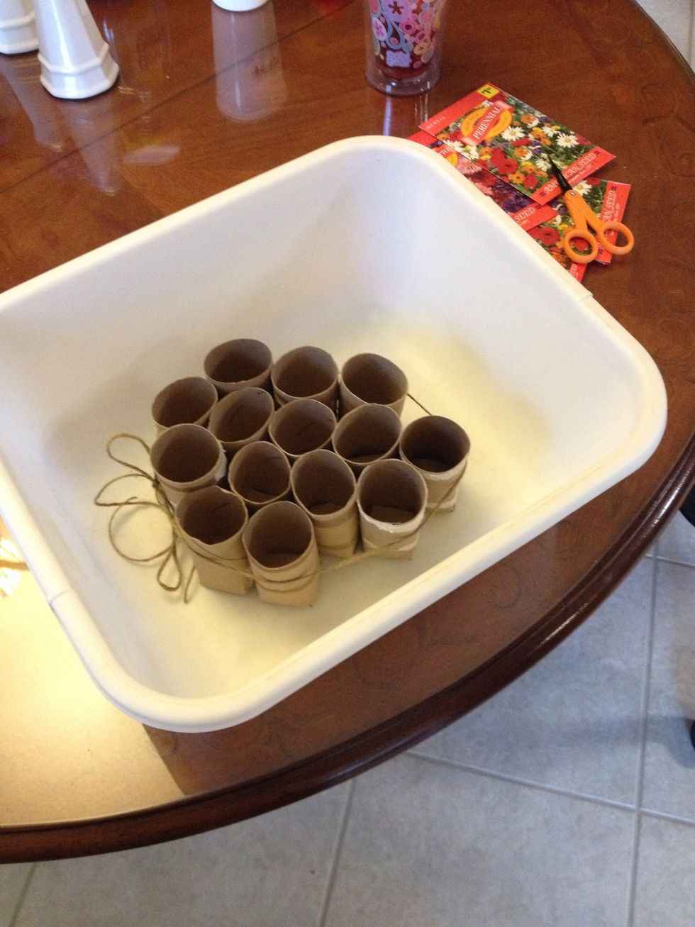 Opt., you can tie together your rolls with a piece of twine so that it is easier to fill them with dirt and later to water them, etc. I also put them in a plastic tub. (You can use glass or other).