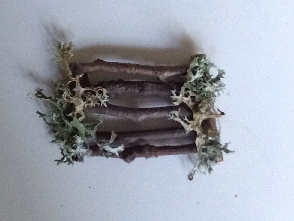 Optional: Glue moss on, if you want.