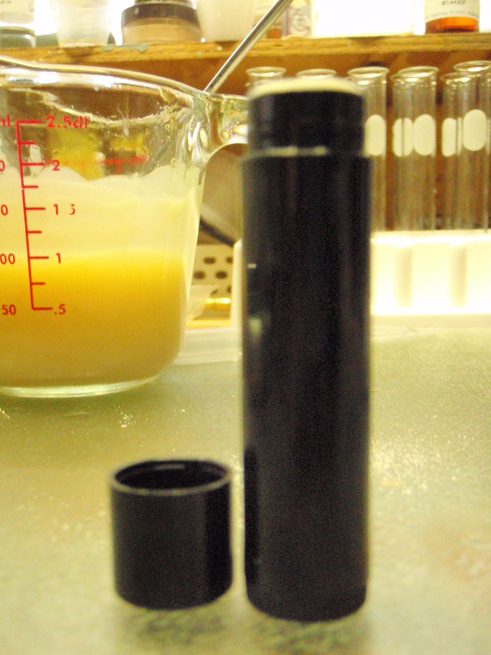 Or lip balm tubes! (Because lotion bars are really just giant lip balms!) Make sure the EO or FO you choose is lip safe before adding it. Citrus oils can be photosensitizing, so be wary!