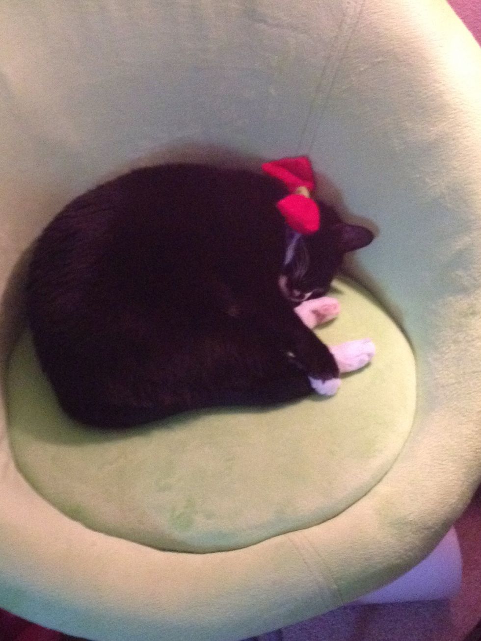 Or maybe not.... Someone's sleepy I guess.