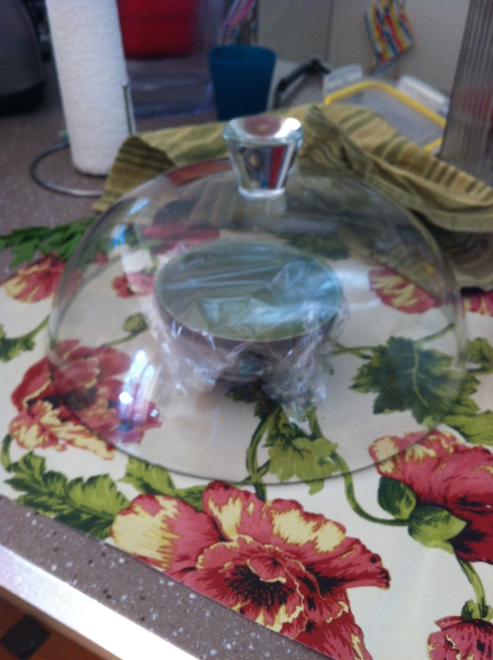 ...or place under a cloche (pronounced closh for reference) at room temperature. If where you live is hot, they may go off at room temp. so go for the fridge.