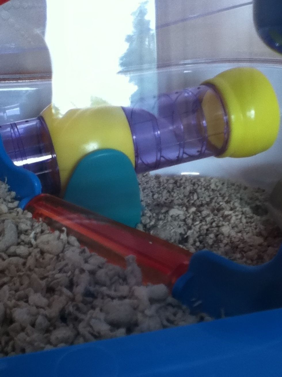 Or shop bought toys, like this tunnel see saw.