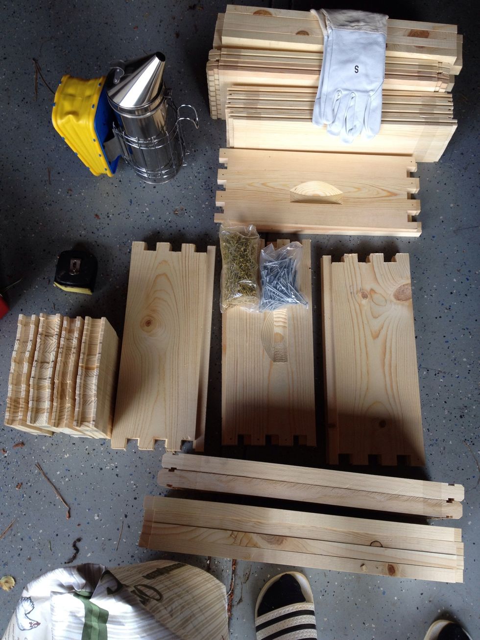 Order your bee boxes. Manlake.com is where I got mine