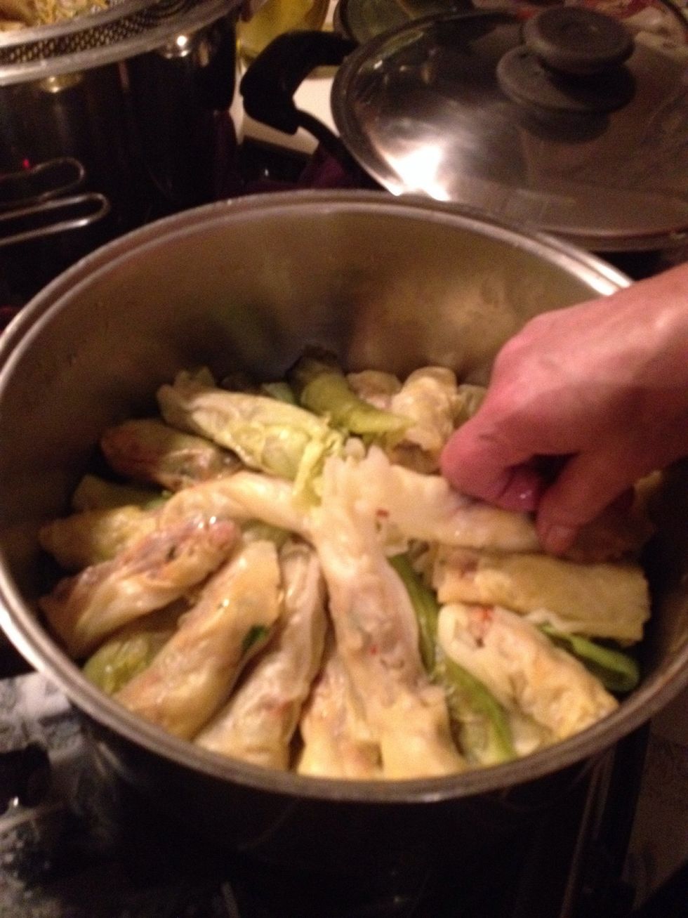 Organize them in the same pan which you used to boil the cabbage.