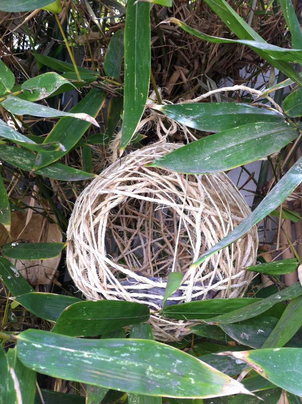 Otro nido m\u00e1s grande (el del paso 4). Another bigger nest (the one from step 4).